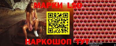 spice Кулебаки