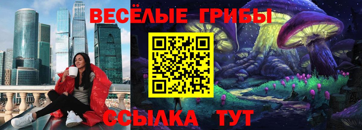 Махачкала  Галлюциногенные грибы Psilocybine cubensis  купить наркотики сайты  Галлюциногенные грибы мицелий  Вход с VPN 